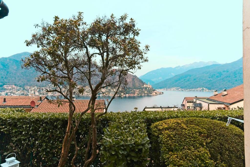 Apartamento Miralago Lugano Sporting Club Cuasso Al Monte Exterior foto